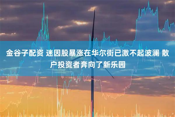 金谷子配资 迷因股暴涨在华尔街已激不起波澜 散户投资者奔向了新乐园