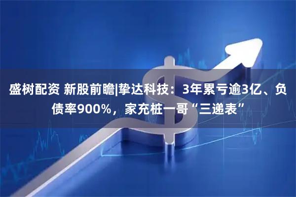 盛树配资 新股前瞻|挚达科技：3年累亏逾3亿、负债率900%，家充桩一哥“三递表”