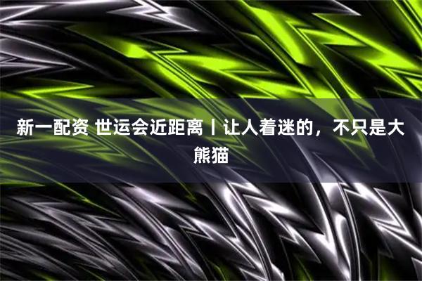 新一配资 世运会近距离丨让人着迷的，不只是大熊猫