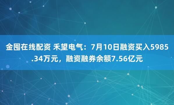金囤在线配资 禾望电气：7月10日融资买入5985.34万元，融资融券余额7.56亿元